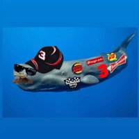 Whale Earnhardt Sr (@troncartier) 's Twitter Profile