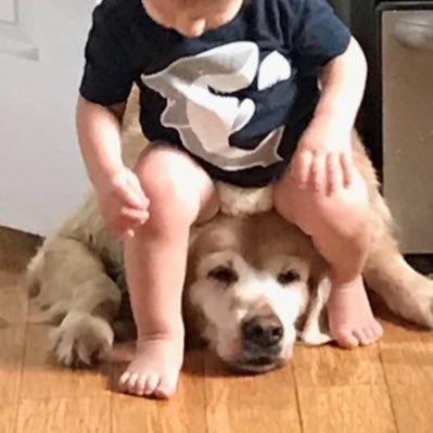 KevinNagle11's profile picture. 