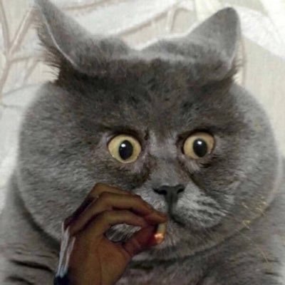 Ry_Haine's profile picture. 🇬🇫 1.91m / 6.3ft