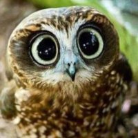 Possidonio G.G. ᵖᵃʳᵒᵈʸ (@possidonio_gg) 's Twitter Profile Photo Possidonio G.G. ᵖᵃʳᵒᵈʸ (@possidonio_gg) 's Twitter Profile Photo