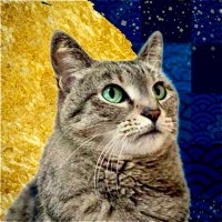 しい (@be9vgbn4bejcjxp) 's Twitter Profile Photo しい (@be9vgbn4bejcjxp) 's Twitter Profile Photo