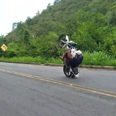 Pedro_thomaz244's profile picture. Piloto do grau 🔥🔥