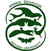 Students in the Animal Behavior Program at IU receive training in the interdisciplinary study of behavior and its relation to evolution, ecology, and physiology
