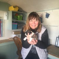 Deb, originally @ytowntransplant (since 2011) (@ytownreplace) 's Twitter Profile