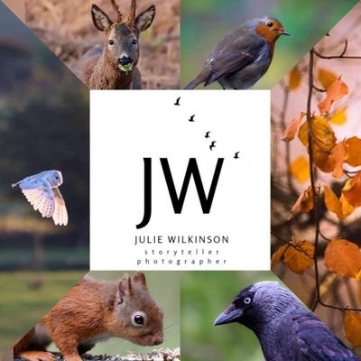 Yorkshire photographer exploring wildlife, nature, and occasionally other things with a camera...  https://t.co/1pnbMwRiqN