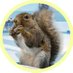૮₍⸝⸝⸝ᵒ̴̶̷ ᵕ ก̀⸝⸝⸝ ྀི₎ა (@rt_sann) Twitter profile photo ૮₍⸝⸝⸝ᵒ̴̶̷ ᵕ ก̀⸝⸝⸝ ྀི₎ა (@rt_sann) Twitter profile photo