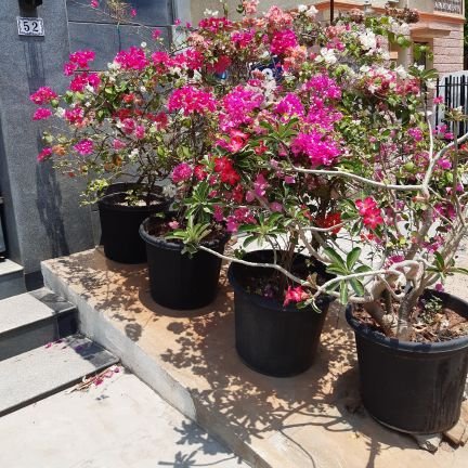 mkumar3072's profile picture. 