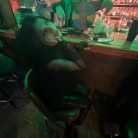 SOLDIER BOI (@hedobflythoe) 's Twitter Profile
