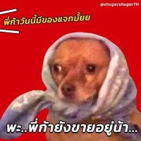 พี่ก้าลูกพระเจ้าตาก(@shugarshugarTH) 's Twitter Profile Photo