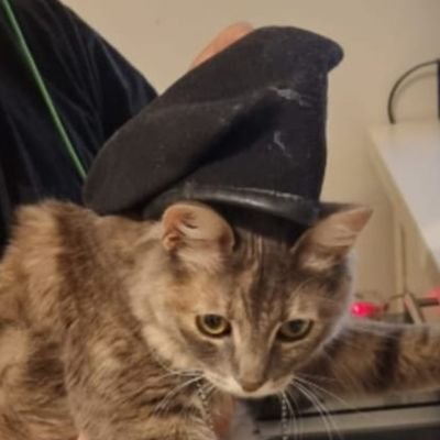 GalTheKing123's profile picture. חפש שבוז (במיל')
