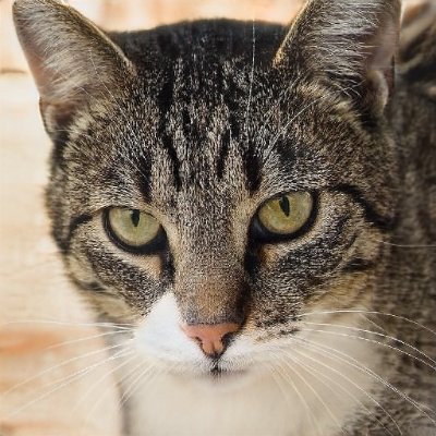 PatriciaLe99634's profile picture. 