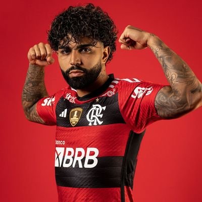 Patrimônio da FlaTT, perfil proíbido para menos, não levem a sério, só falamos do Flamengo.