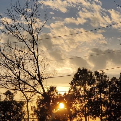 Pauloug2023's profile picture. 