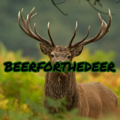 🕹️Gamer🕹️
🎮Streamer🎮
🟣Tiktok: Beerforthedeer (18k)🟣