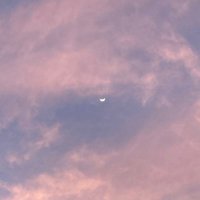 ⁷ (@sunsetsimpp) 's Twitter Profile