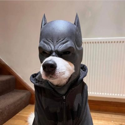 NakedScientist's profile picture. Wassup