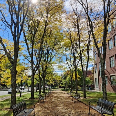 jiashu_x's profile picture. 