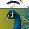 tapestrydesign's profile picture. Retired digital marketer | Ukrainian Studies at University of Toronto | Entrepreneur designing artisan jackets | Writer in hospitality & wellness