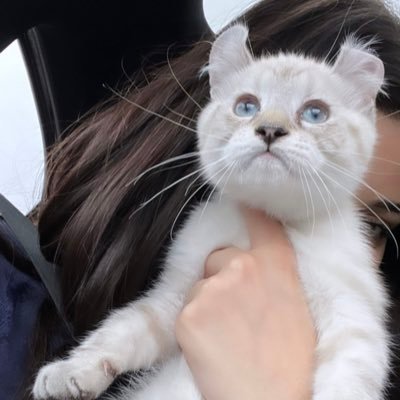 Smurk1oo's profile picture. 