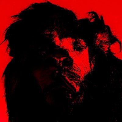 Білий левさんのプロフィール画像