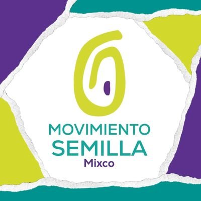 ¡Somos movimiento semilla Mixco! un equipo comprometido con mejorar nuestro municipio, para más información sobre nosotros ingresa al link 🤍🌱