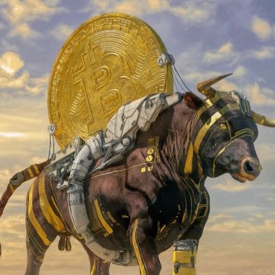 doccrypto777 Profile Picture