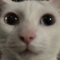 Snowy (@snowy_180) 's Twitter Profile