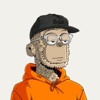 joey (@tkdjoe_eth) 's Twitter Profile