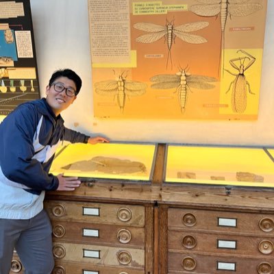 Insect Paleontologist Posdoc of @le_CR2P @Le_Museum @Kyudai_Museum . パリ国立自然史博物館、九大博 研究員 昆虫化石専門 福岡出身　バナナマン好き, https://t.co/jhDGuFG7Z3