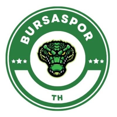Bursaspor_TH Profile Picture