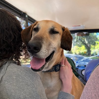 jmdvorak71's profile picture. 