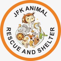 JFK Animal Rescue And Shelter(@jfkshelter) 's Twitter Profile Photo