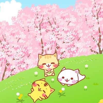 あまくま歩人☆セブンウップス☆うちな〜よんな~街歩き☆モンゴル800☆HYლ(´ڡ`ლ)ラジオリスナーლ(´ڡ`ლ)が好き