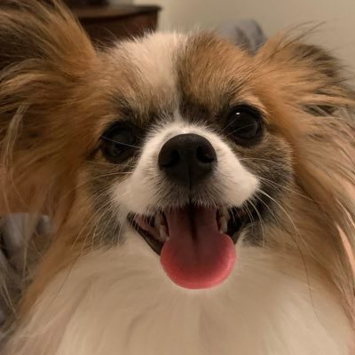 ks15332355's profile picture. 