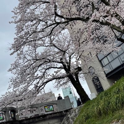 hCJ58FPXUR4BdxT's profile picture. 東海大学理学部数学科 #春から東海大  無言フォロー失礼します！ カラオケとコナン好きです