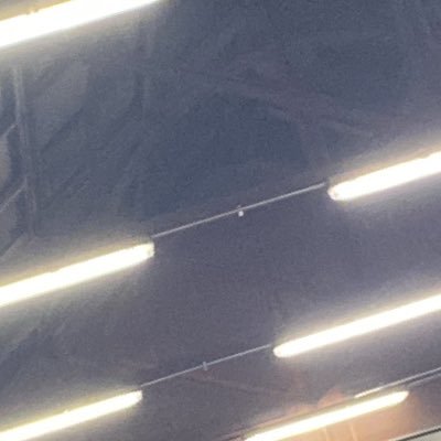 Felipe98455873's profile picture. 