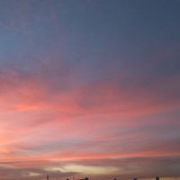 Aninha (@anadocriminal) 's Twitter Profile