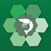 ASOLAP (@asolap1) 's Twitter Profile