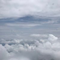 Big_nik56 (@bignik56) 's Twitter Profile