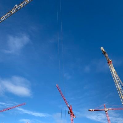 aqualcrane's profile picture. 