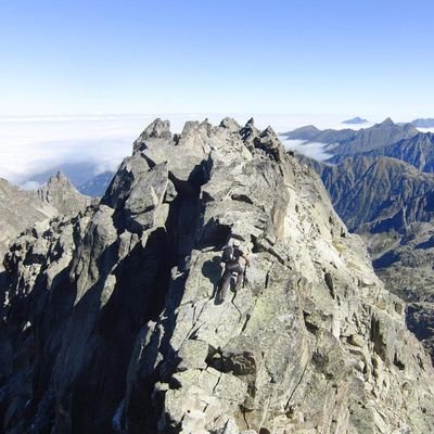 Templau's profile picture. 