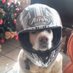 Alberto suarez sanchez (@albertosua74361) Twitter profile photo Alberto suarez sanchez (@albertosua74361) Twitter profile photo