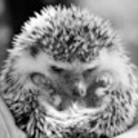 Ezhick (@ezhick_) 's Twitter Profile