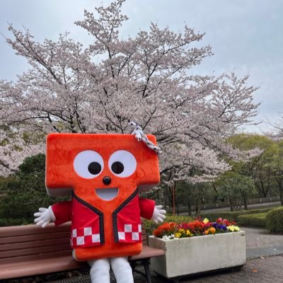 拓殖大学の新歓について情報発信を行います🌸 質問箱やインスタも行っているのでチェックしてみてくださいね👀✨クラブ相談会行っております🌷 何かあればDMまでお問い合わせください😊 #春から拓殖 #春から拓大 #春から拓殖大学 インスタ👉https://t.co/piQVQmdmKX