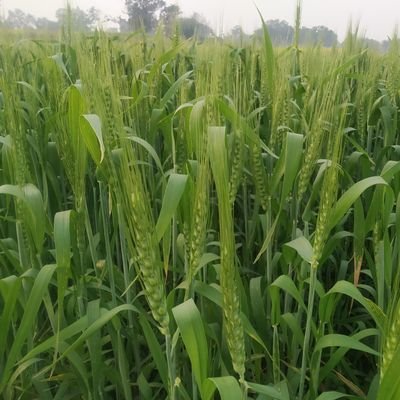 hhm74915500's profile picture. 