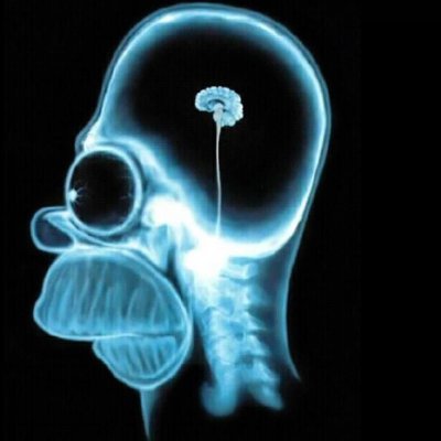 thebusdriver86's profile picture. not actual bus driver