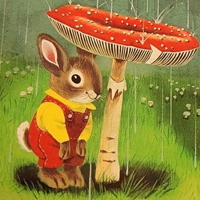 HarlanMattoxx's profile picture. 