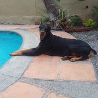 Meridio (@comodofuentes) 's Twitter Profile Photo Meridio (@comodofuentes) 's Twitter Profile Photo