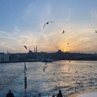 Ekin Türkmen (@ekintrkmng) 's Twitter Profile Photo