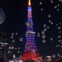 しー🐱@慶應通信/経済/77期 (@shikeiotsu) Twitter profile photo